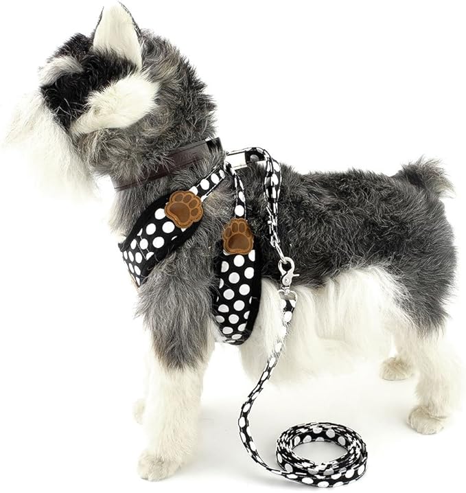 SMALLLEE_LUCKY_STORE New Soft Mesh Nylon Vest Pet Cat Small Medium Dog Harness Dog Leash Set Leads Black, S (Chest:9.5"-13.5",Weight 2-6.5lbs) (CWYP00068-black-s)