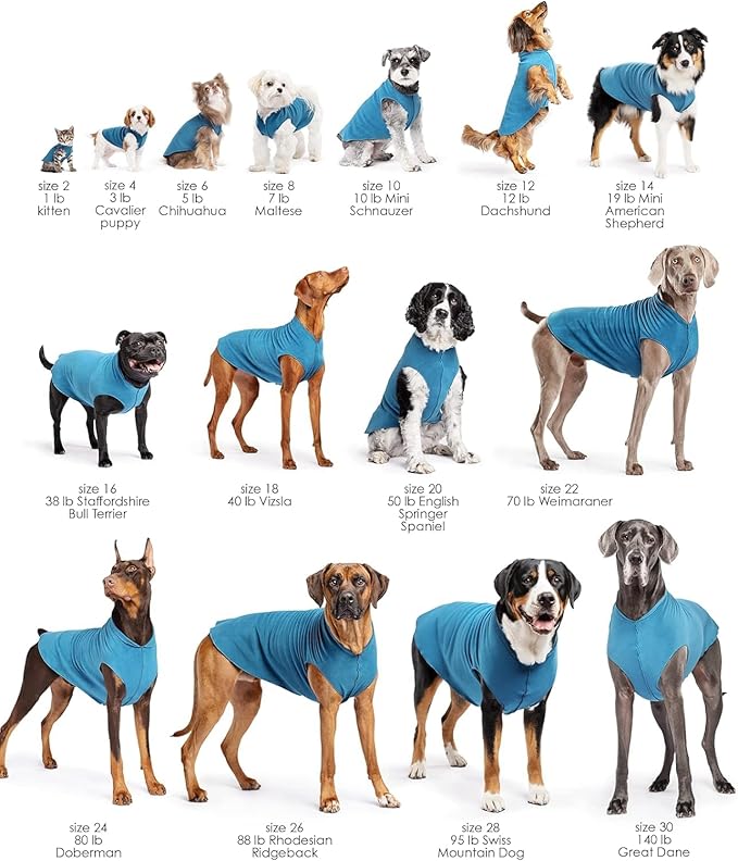 Stretch Fleece Dog Coat, Stretchy Pet Sweater, Machine Washable Pullover for Winter and Fall, Cornflower Blue, 10