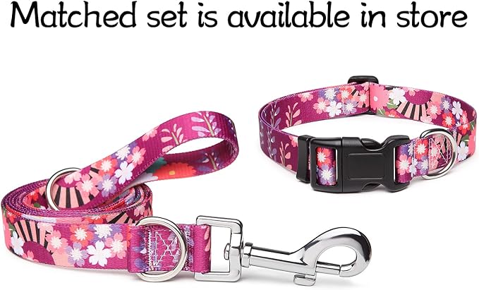 Adjustable Dog Collar with Patterns, Ultra Comfy Soft Nylon Breathable Pet Collar for Small Medium Large Dogs (S, Colorful Flower