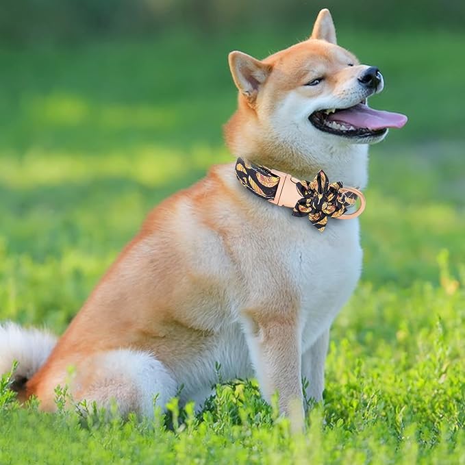 Dog Collar and Leash Set Adjustable Girls Puppy Floral Collars with Bow Tie for Small Medium Large Dogs(M, Feather)