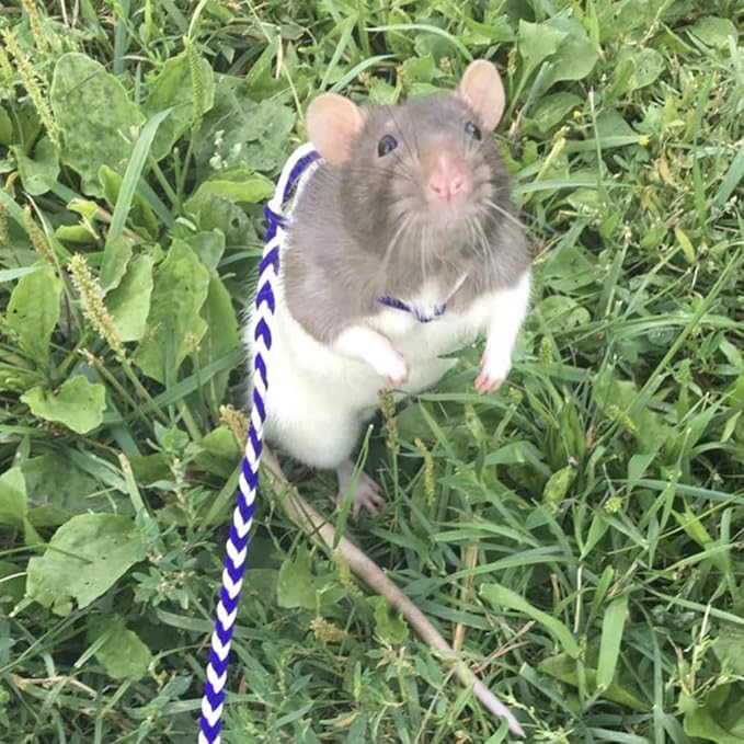 Adjustable Rat Leash Hamster Leash with Bell Harness for Ferret Mouse Squirrel Small Animal (Random)