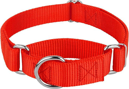 Country Brook Petz Martingale Dog Collar - Heavy-Duty Training Collar with No Buckle - Service Dog Collar for All Pups - Vibrant, Colorful Collection (Hot Orange, 5/8 Inch, Extra Small)
