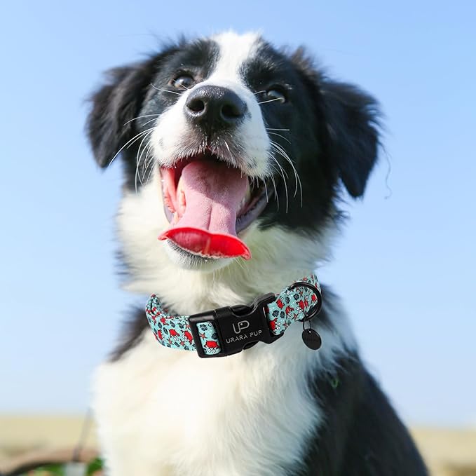 Summer Dog Collar, Crab Print Dog Collar with Adjustable Plastic Buckle, Lightweight Cute Pet Collar, Ideal Gift for Boy Girl Dogs
