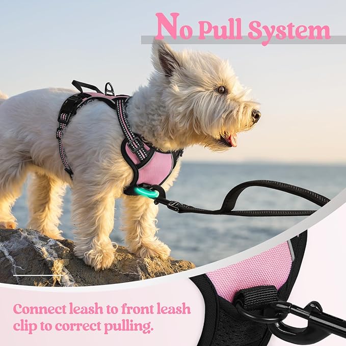 rabbitgoo Dog Harness No Pull with 2 Leash Clips, Adjustable Soft Padded, Reflective Oxford No Choke Pet Vest with Easy Control Handle for Puppy, Pink, XS