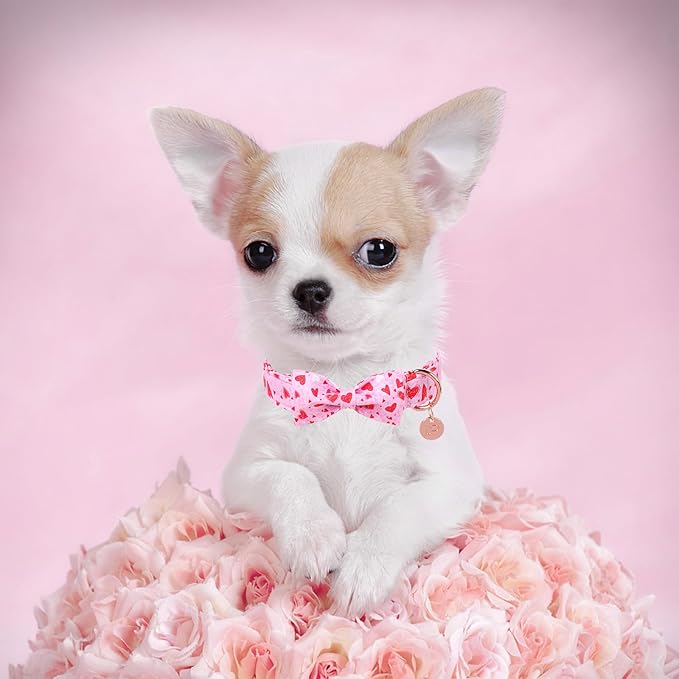 Valentine’s Dog Collar with Bow Tie, Pink Heart Bowtie Collar with Metal Buckle, Valentine’s Gift Pet Collar for Puppy Girl Boy Dog or Cat, Wedding Dog Collar, L