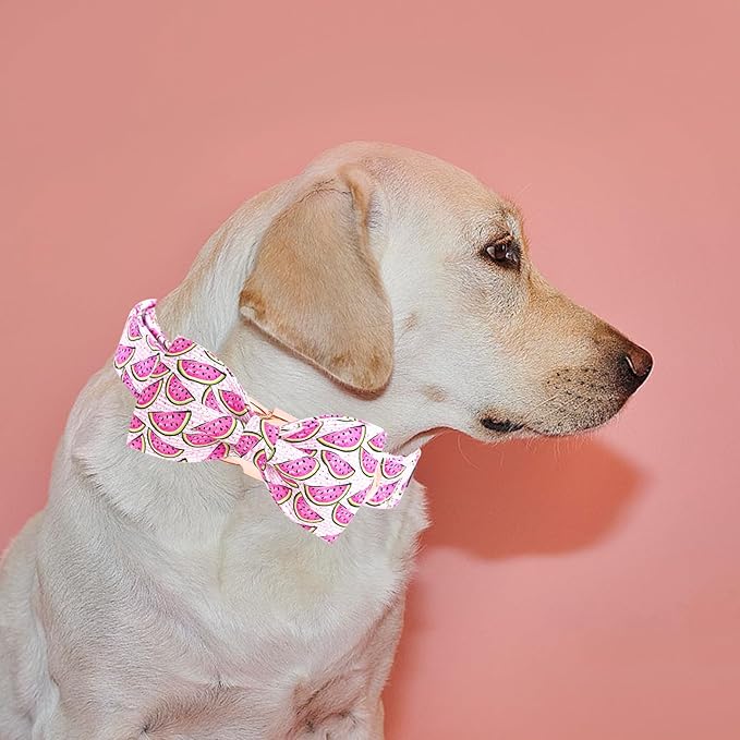Elegant little tail Dog Collar, Watermelon Print Pet Collar Summer Dog Collar Durable Metal Buckle Dog Collars Cotton Pet Adjustable Dog Collars for X-Small Dogs