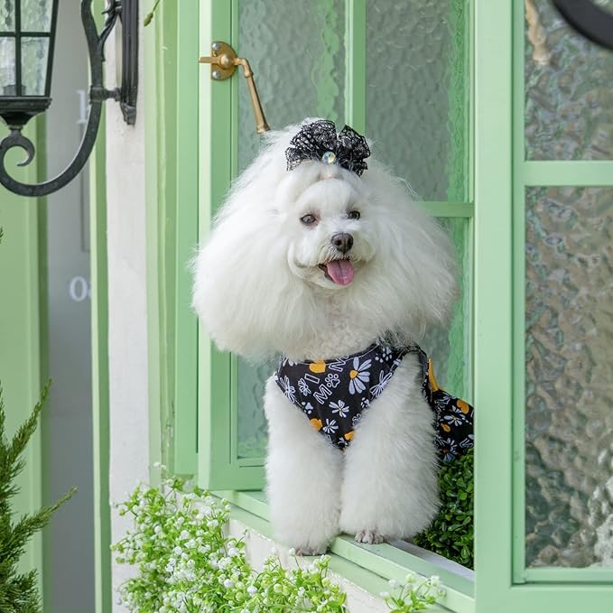 CuteBone Dog Mesh Dress Puppy Sundress Pet Outfit Summer Fashion for Small Dogs Girl Cat Clothes BF13M