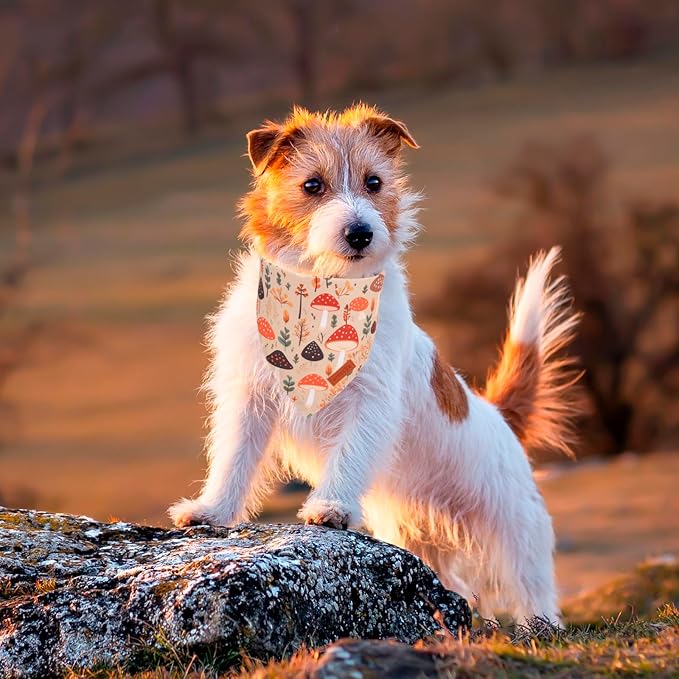 PTDECOR Fall Dog Bandana, Pumpkin Mushroom Design Scarf Reversible Holiday Dog Scarf, Triangle Thanksgiving Bandanas for Small Dogs Puppies Cats (Small)