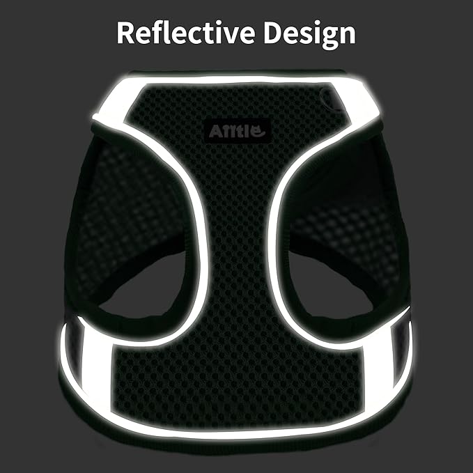 AIITLE No Pull Dog Harness and Leash Set, Step in Adjustable Dog Harness with Padded Vest for All Weather, Dog Leash with Soft Padded Handle, Easy to Put on Small and Medium Dogs Green S