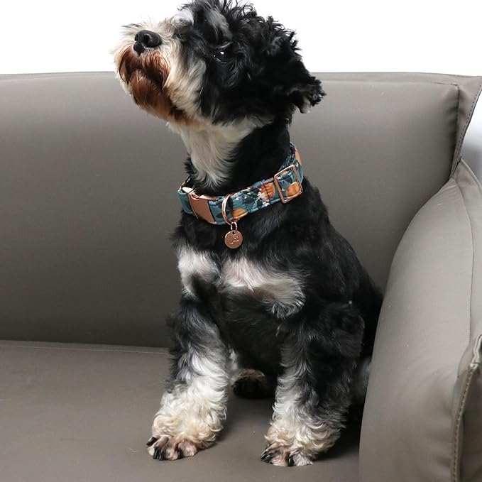 Peach Summer Cotton Dog Collar with Metal Buckle Gift Collar for Small Medium Large Girls or Boys Dogs Cute Durable Comfortable Pet Collars
