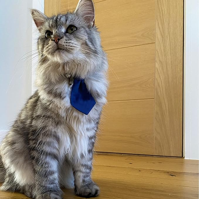 20 PCS Adjustable Pet Ties for Small Dog Neck - Pet Grooming Daily Wearing Birthday Photography Holiday Festival Party