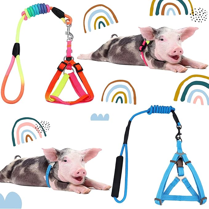 Frienda 2 Pcs Mini Pig Harness Leash Adjustable Small Pet Supply Mini Pig Walking Harness and Leash for Hog Piggy Ferret Rabbit Dog Cat and Other Small Animals Walking Training Jogging