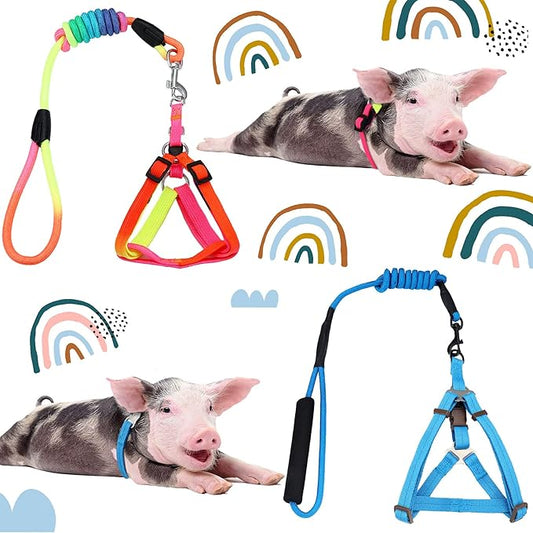 Frienda 2 Pcs Mini Pig Harness Leash Adjustable Small Pet Supply Mini Pig Walking Harness and Leash for Hog Piggy Ferret Rabbit Dog Cat and Other Small Animals Walking Training Jogging