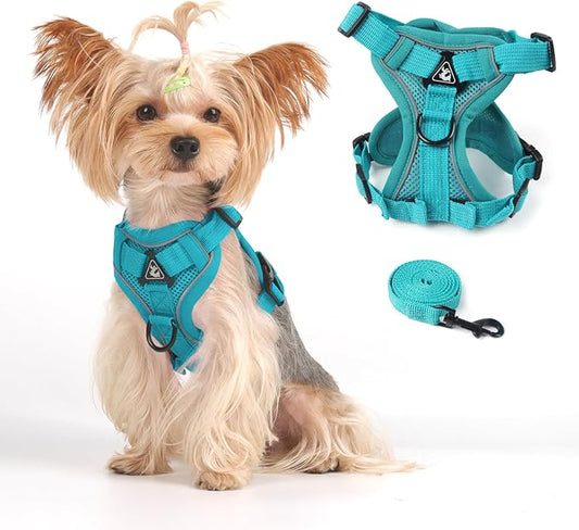 Vest Harness Leash Set for Small Dog Large Cat, Escape Proof Adjustable Jacket with Lead for Puppy Fat Cat Outdoor Walking, Soft Breathable Mesh Coat with Reflective Strip, XL Green