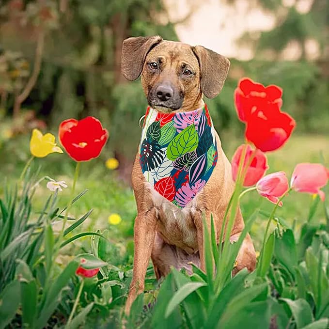 50PCS Big Dog Bandanas Hawaii Summer Bulk Palms Leaves Fruits Flamingos Bench Ocean Sailboats Surfer for Large XL Breed Dog Triangle Bibs Scarves for Boys and Girls Grooming Accessories