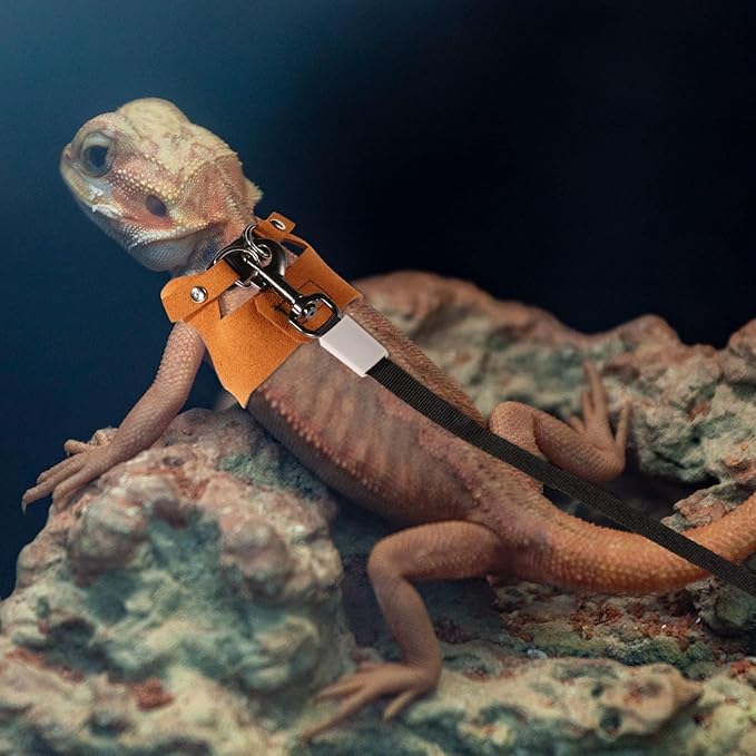 Bearded Dragon Harness and Leash Set, 3 Sizes Super Leather Vest with Retractable Rope, Brown
