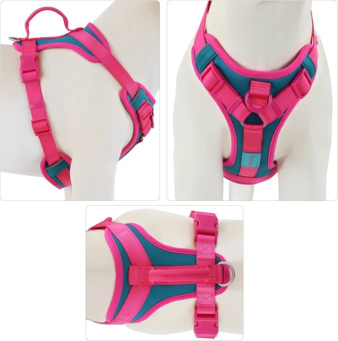 No Pull Dog Harness Adjustable Soft Padded Pet Vest with Control Handle Adorable Daily Harness for Dogs(Viridian Green XL)