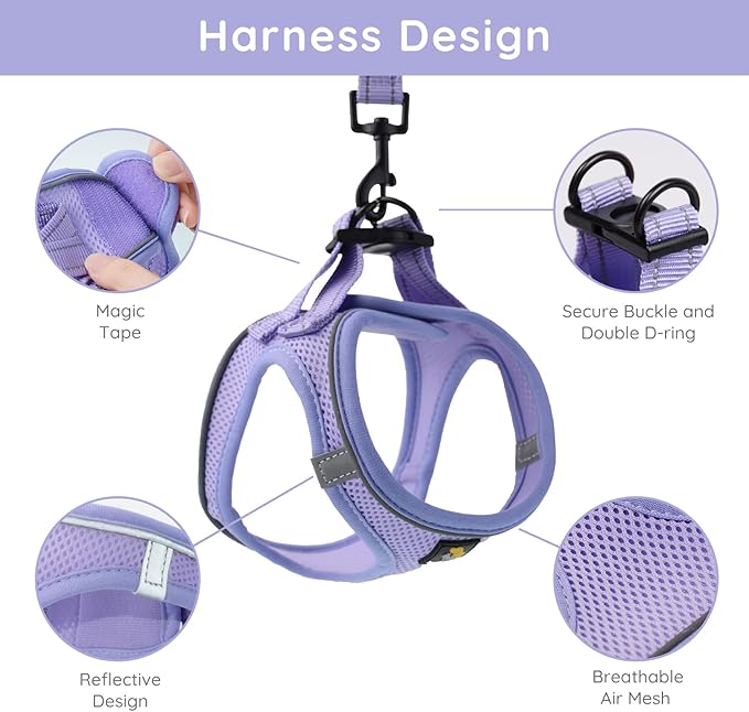 BELLA & PAL Puppy Harness with Leash Set, Step in Harness for Small Dogs, Dog Air Mesh Dog Vest Harness with Reflective Strip, No Pull No-Chock Harness for XXS, XS, Small, Medium Dog Cat (Lavender, S)