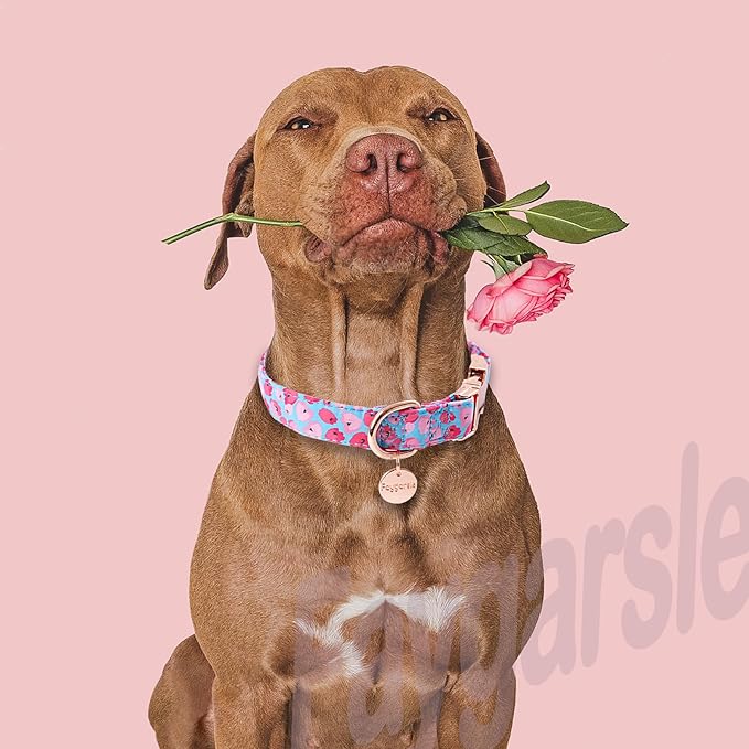 Faygarsle Blue Pink Dog Collar for Small Medium Large Dogs Cute Puppy Collars for Female Dogs Floral Dog Collars for Summer Spring Wedding Necklace Girl Dog Collar S