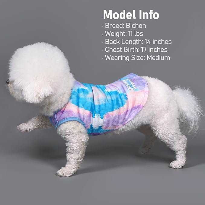KYEESE 2 Pack Dog Cooling Shirts for Summer Breathable Instant Cooling Dog Vest for Small Dogs Lightweight Sleeveless Vest Soft Quick Dry Puppy Shirt Great for Outdoor Activities