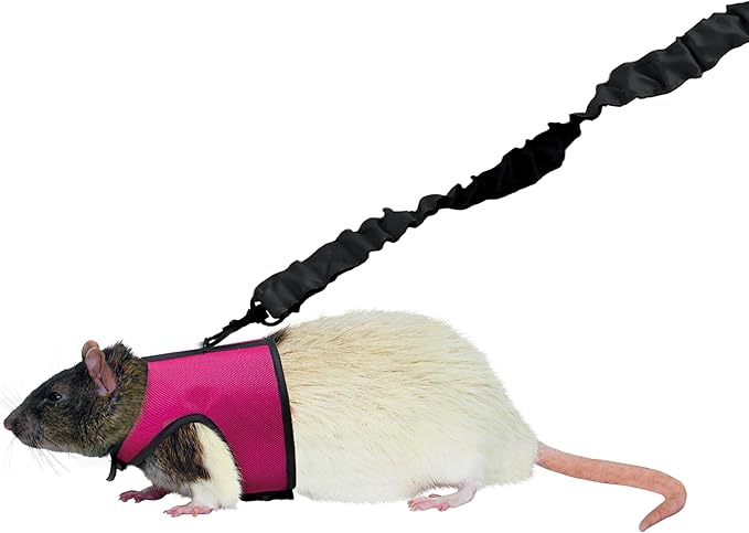 Kaytee Comfort Harness And Stretch Leash Small
