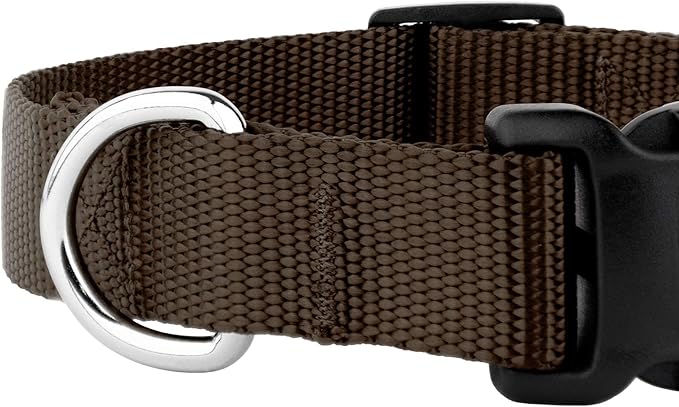 Country Brook Petz - American-Made Dog Collar for Large, Medium, and Small Dogs and Puppies - Deluxe Heavy Duty Nylon in 33 Dazzling Colors (Extra Small, 3/8 Inch Wide, Brown)