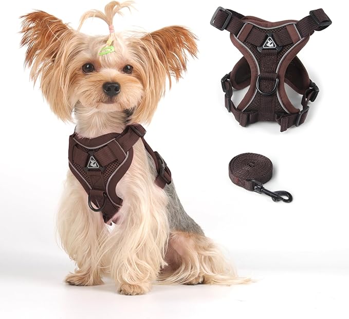 Vest Harness Leash Set for Small Dog Large Cat, Kitten Escape Proof Adjustable Jacket with Lead for Puppy Fat Cat Outdoor Walking, Soft Breathable Mesh Coat with Reflective Strip,XL Brown