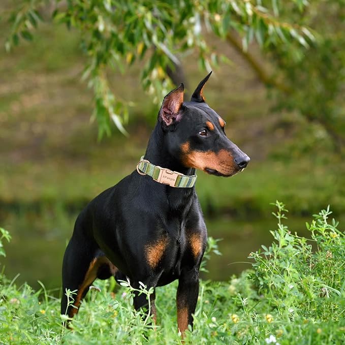 Metal Buckle Dog Collar, Durable Adjustable Dog Collar Soft for Small Medium Large Dogs (Green, L(15-23in)