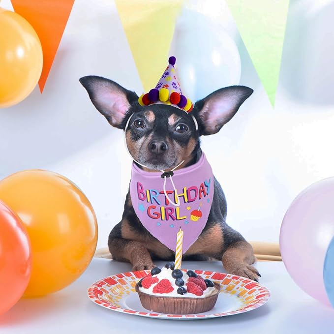 PUPTECK Dog Birthday Bandana Scarf with Cute Doggy Party Hat, Costume Decorations Supplies for Small Medium Large Dogs Boy Girl Outfit Gifts, Purple
