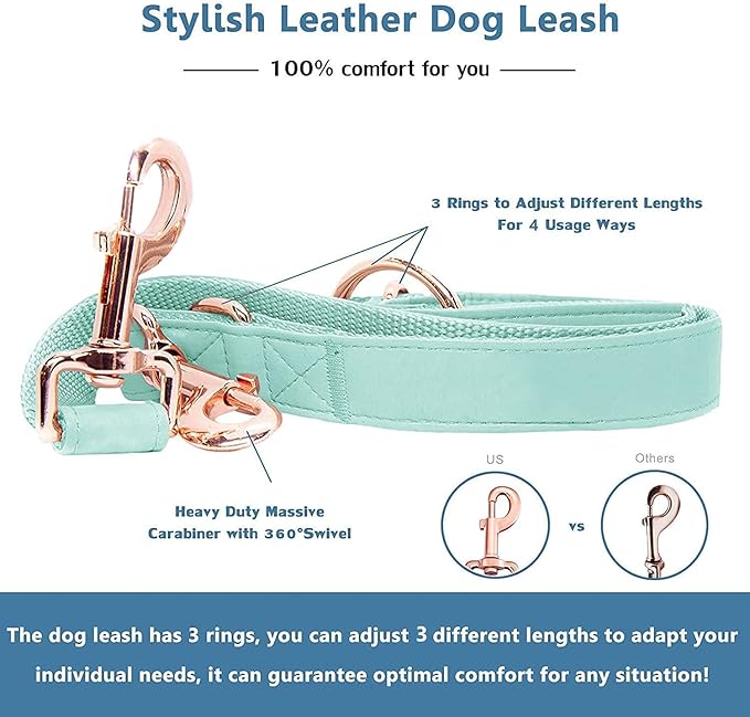 Soft Leather Dog Collar and Leash (6.6') Set - Stylish Rose Gold Heavy Duty Metal Buckle, 4 Adjustable Lengths Leash for Small Medium Large Dogs - Comfortable & Easy to Clean Mint Green M(13.8"-19.7")
