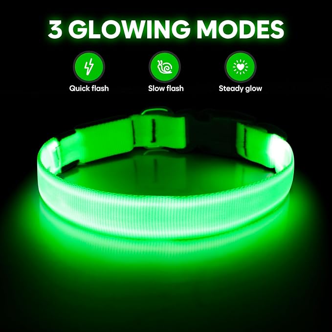 Illumifun Light Up Dog Collar, USB Rechargeable LED Dog Collar Adjustable Glow in The Dark Pet Collar Safety Dog Lights for Night Walking (Green, Medium)