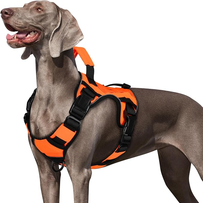 WINGOIN Orange Tactical Dog Harness for Small Dogs, Heavy Duty No Pull Harness with Handle, Adjustable Reflective Military K9 German Shepherd Small Size Pet Vest for Training, Walking, Hiking (S)