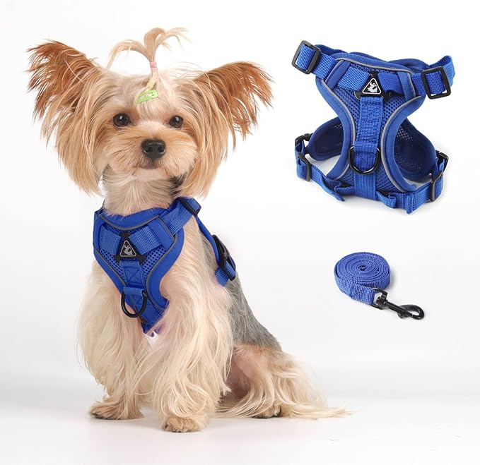 Vest Harness Leash Set for Small Dog Large Cat, Kitten Escape Proof Adjustable Jacket with Lead for Puppy Fat Cat Outdoor Walking, Soft Breathable Mesh Coat with Reflective Strip,XL Blue