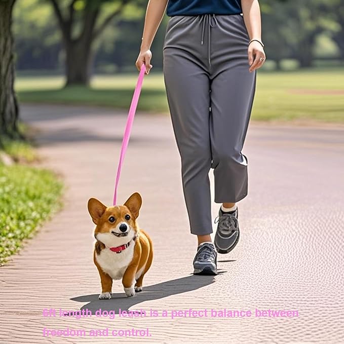 6 FT Puppy Leashes, Strong Traditional Style Leash with Easy to Use Collar Hook,Dog Lead Great for Small and Medium and Large Dog (Pink, 5/8 in x 6 ft)