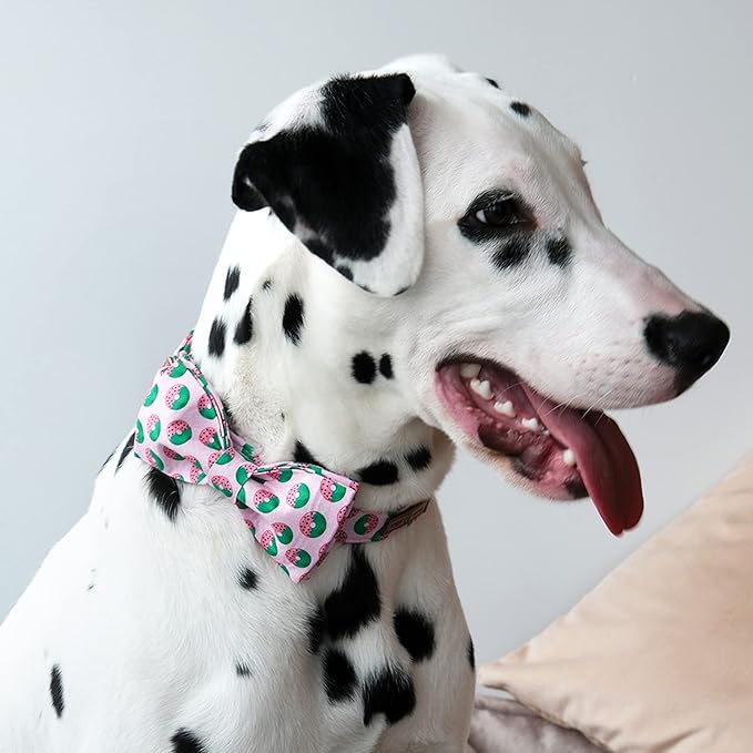 Lionet Paws Dog Collar with Bowtie, Soft Comfortable Adjustable Cute Donut Bowtie Collar for Large Dogs Male Female Gift, Neck 16-24 inches