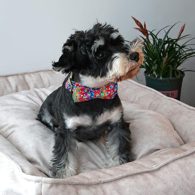 ARING PET LGBTQ Rainbow Popsicle Dog Collar with Bow, Cotton Pride Collar Bowtie with Metal Buckle