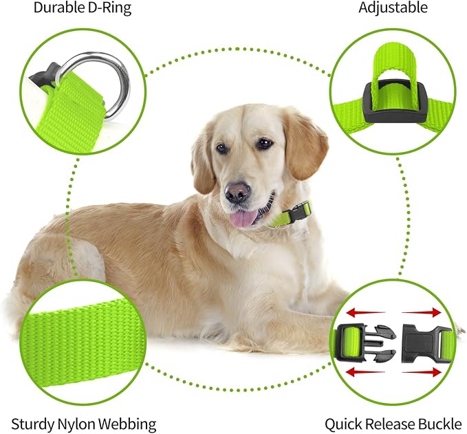Replacement Collar for Shock Collar, Stylish & Comfortable Puppy Collar 2 Pack for Boy & Girl, Compatible with PetSafe Bousnic Sportdog Garmin Trainers for Small Medium Large Dogs (Green & Red)