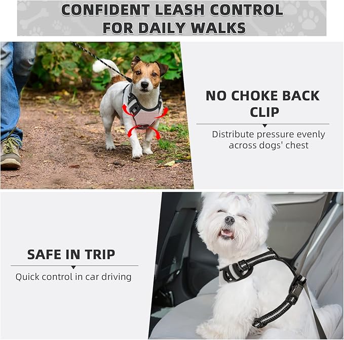 No Pull Dog Harness with A Free Heavy Duty 5ft Dog Leash, Adjustable Soft Padded Dog Vest, Reflective No-Choke Pet Oxford Vest with Easy Control Handle and Dog Leash for Dogs (Grey, Small)