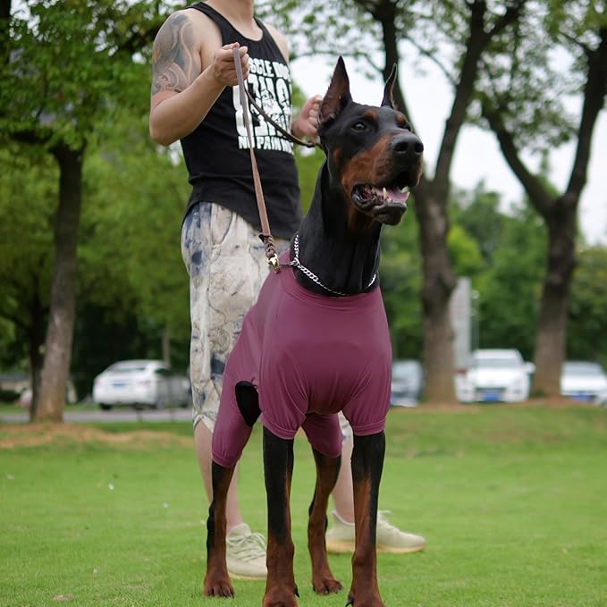 LoveLongLong Dog Jumpsuit with UV Protection and Quick-Dry Fabric for Spring Summer Pet Pajamas Taro Purple L