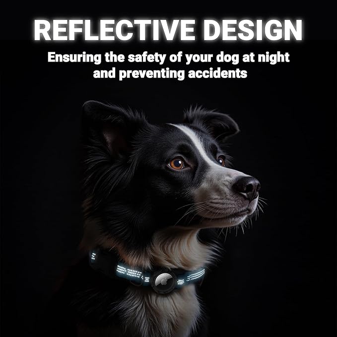 AirTag Dog Collar, IP68 Waterproof Integrated Air Tag Dog Collars with Reflective, Ultra-Durable, Comfortable Padded, Heavy Duty Dog Collars for Small Medium Large Dogs, L (14.8"-20.3"), Blue