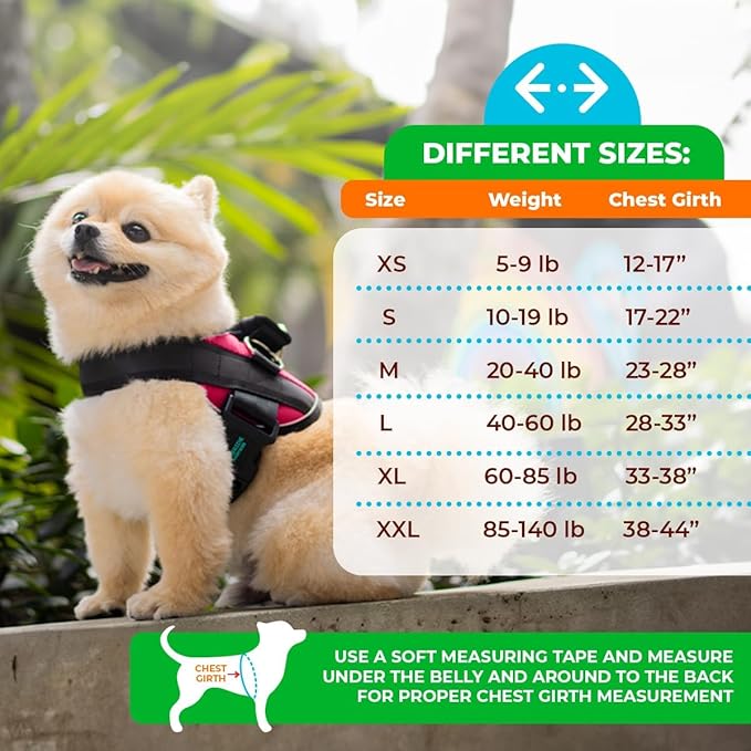 Joyride Harness LED Light Up Dog Harness 2.0 - Patent Pending Design, 3 LED Modes, Vibrant Rechargeable Lighting, Customizable Name Tag Area, and Convenient On/Off Button for Enhanced Pet Safety