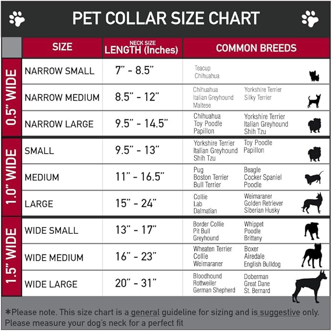 Dog Collar Plastic Clip Americana Flag We The People Black White 9 to 15 Inches 1.0 Inch Wide