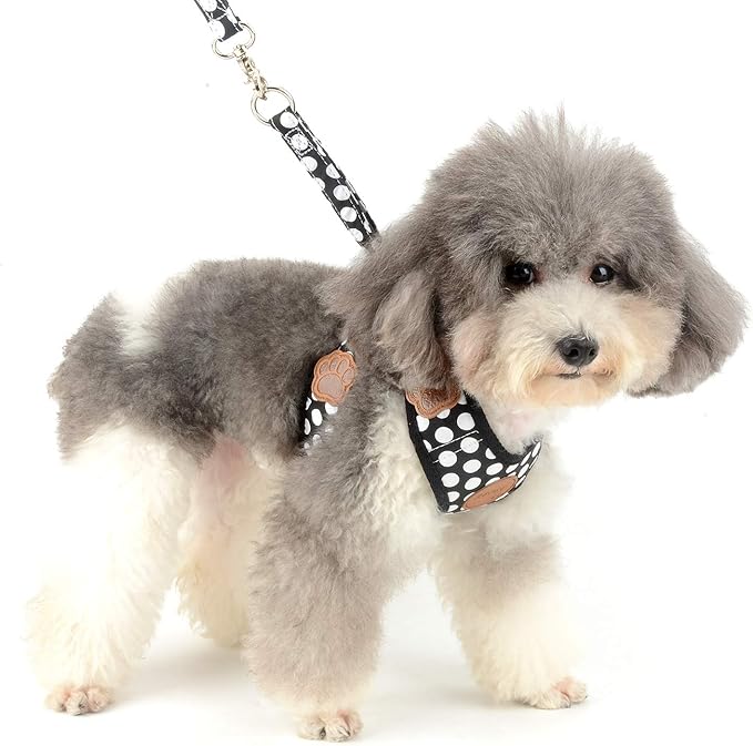 SMALLLEE_LUCKY_STORE CWYP00068-Black-L New Soft Mesh Nylon Vest Pet Cat Small Medium Dog Harness Dog Leash Set Leads, Black, L