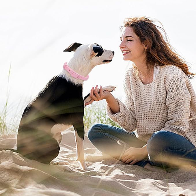 Waterproof Dog Collar with Coated Metal Buckle, Soft and Easy to Clean Soft Rubber Dog Collar, Adjustable Pet Collars for Small Medium Large Dogs