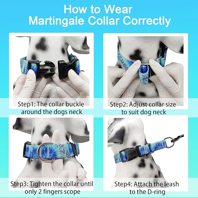 Martingale Collar with Buckle Blue Tie Dye Training Collar Adjustable Nylon Boy Dog Collars (Blue Teal, Medium)