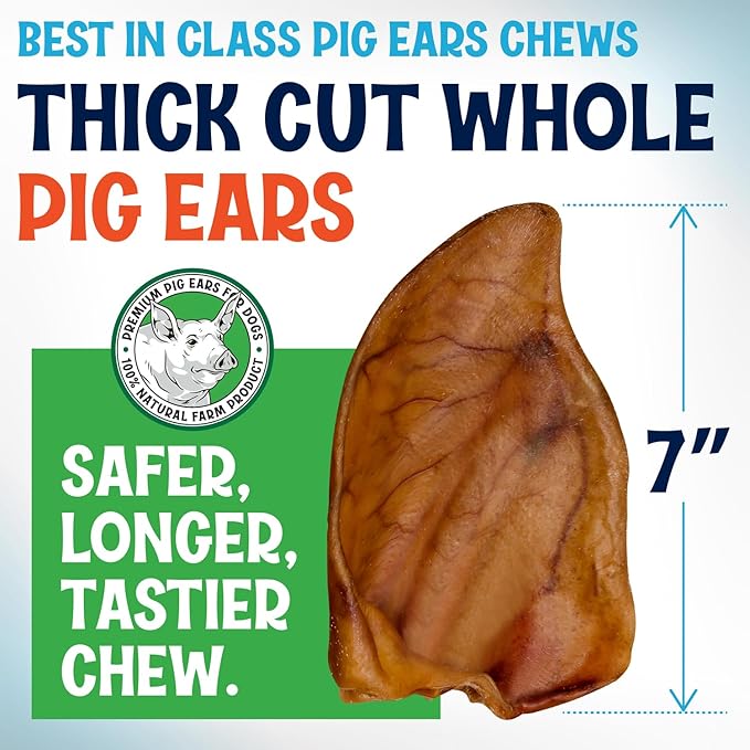 Whole Pig Ears for Dogs Large - 15 Pack Long Lasting Dog Chews โ Dog Treats One Ingredient Delicious All Natural Flavor โ Easy to Digest Dog Treats for Large Dog - Great for Teeth and Gums