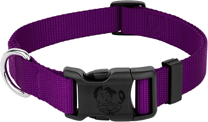 Country Brook Petz - American-Made Dog Collar for Large, Medium, and Small Dogs and Puppies - Deluxe Heavy Duty Nylon in 33 Dazzling Colors (Large, 1 Inch Wide, Purple)