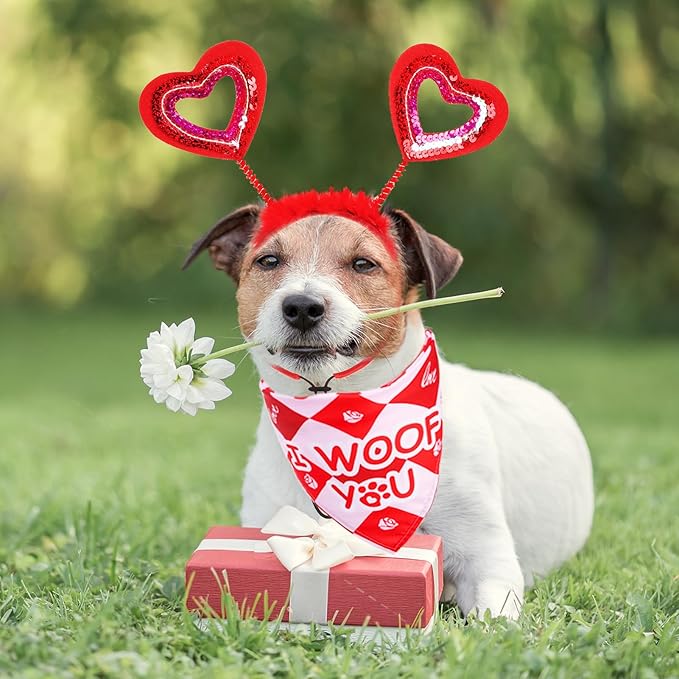 PUPTECK Valentine Dog Bandana Scarf with Cute Doggy Love Hat, Wedding Photo Prop Costume Decorations Supplies for Small Medium Large Dogs Boy Girl Outfit Engagement Gifts, Red