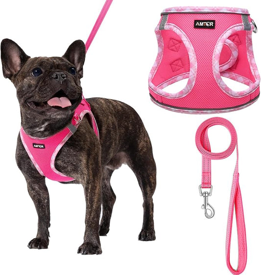 AMTOR Small Dog Harness with Leash Set, No Escape Easy Walk Puppy Harnesses for Training Walking, Step-in Reflective Soft Dogs Vest for XS S Medium Extra-Small Large Sized Dog(Fuchsia,XS)