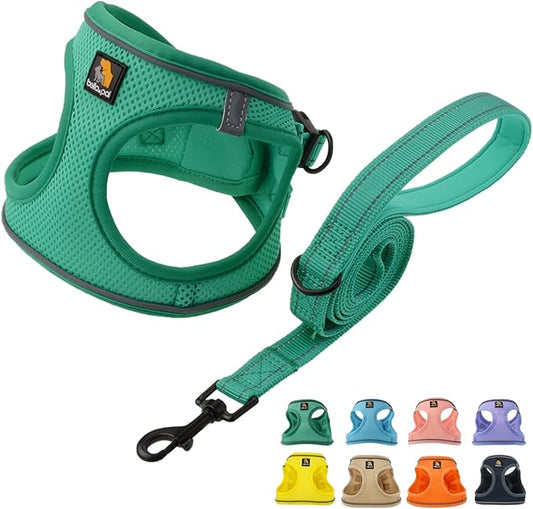 BELLA & PAL Puppy Harness with Leash Set, Dog Harness for Small Dogs No Pull, Dog Leash for Small Dogs, Step in Harness for Extra Small Dogs, Green Harness, L BPH00434